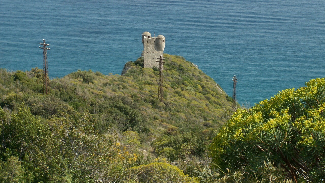 Photo of Others in Gorra