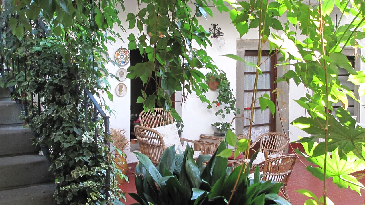Photo of Outdoor in Sale Marasino