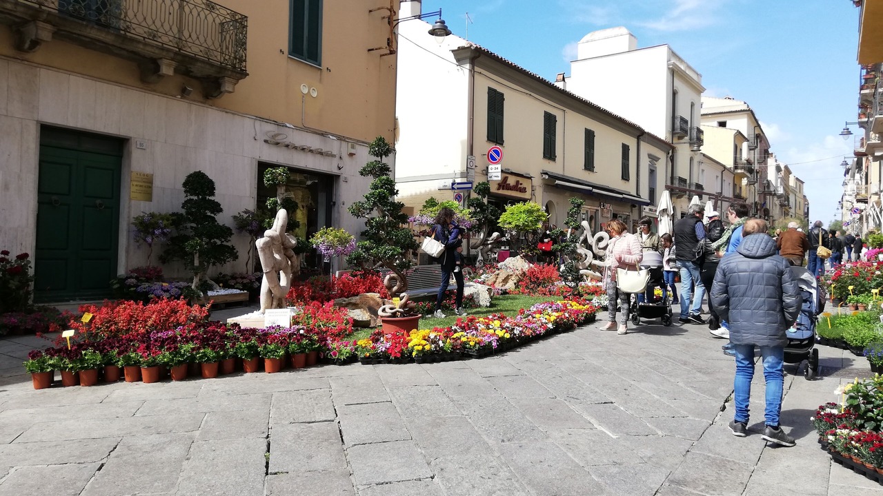 Photo of Outdoor in Olbia City Centre