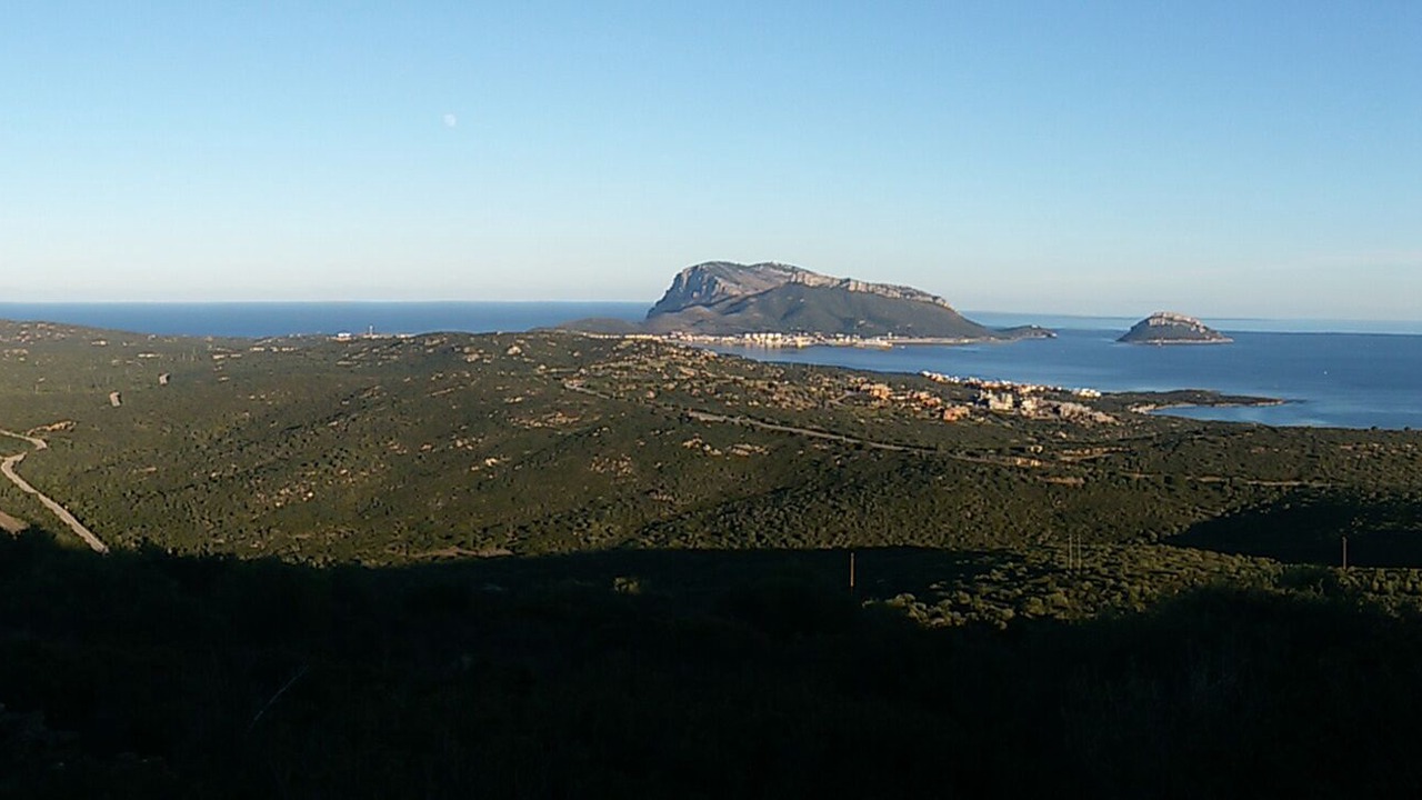 Photo of Others in Olbia City Centre