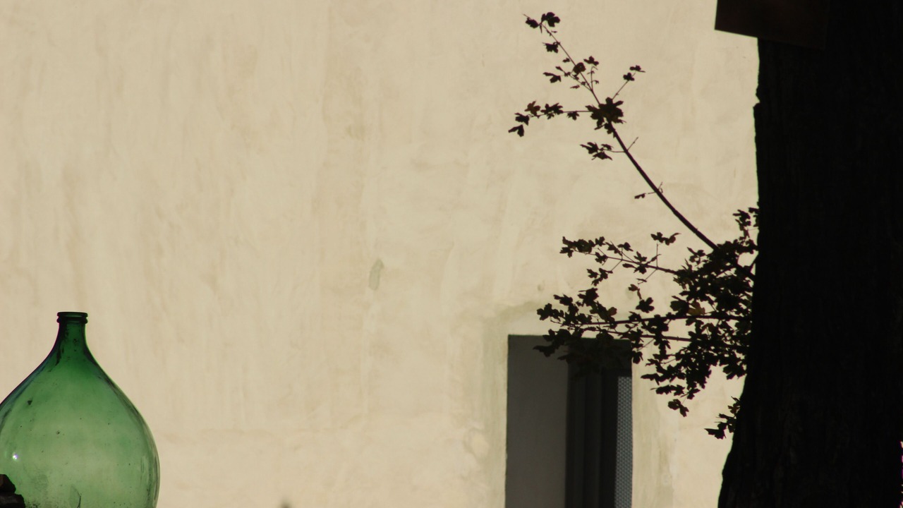 Photo of Outdoor in Montone