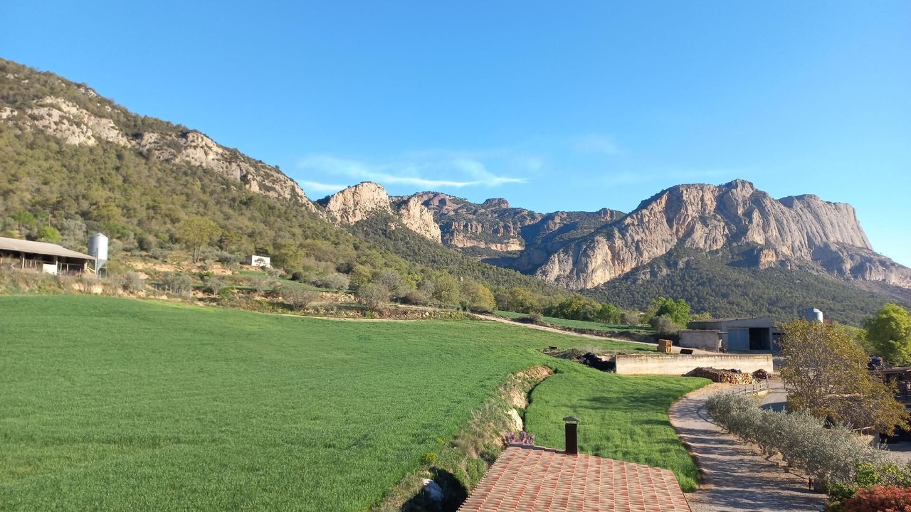 Photo of Outdoor in Trago