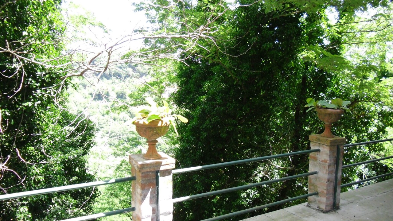 Photo of Outdoor in Scansano
