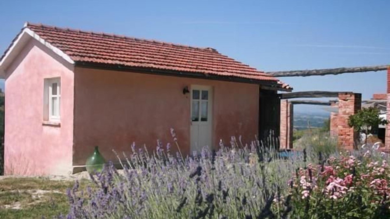 Photo of Others in Clavesana