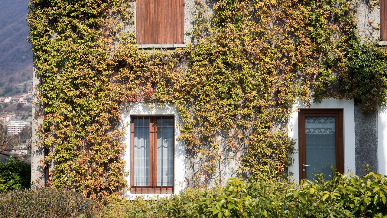 Photo of Outdoor in Riva