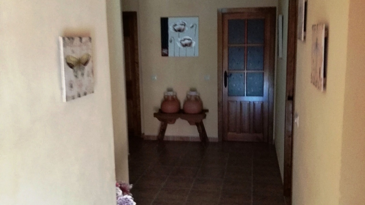 Photo of Others in Elche De La Sierra