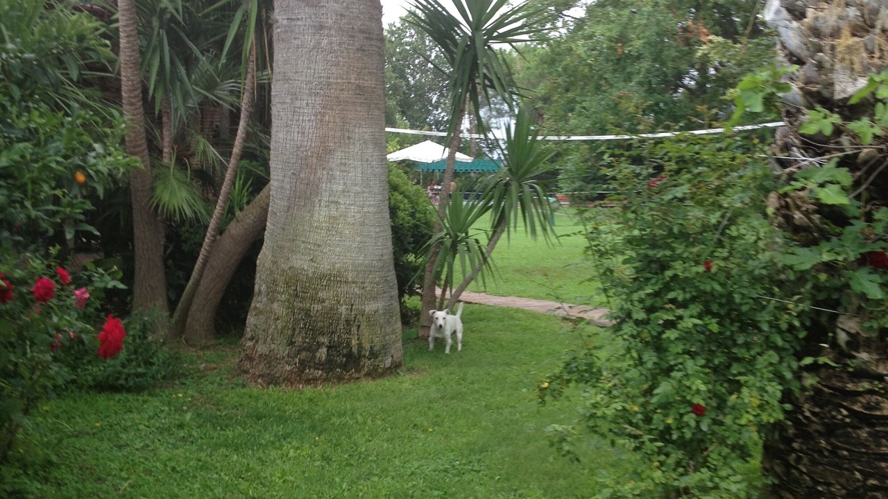 Photo of Outdoor in Ladispoli