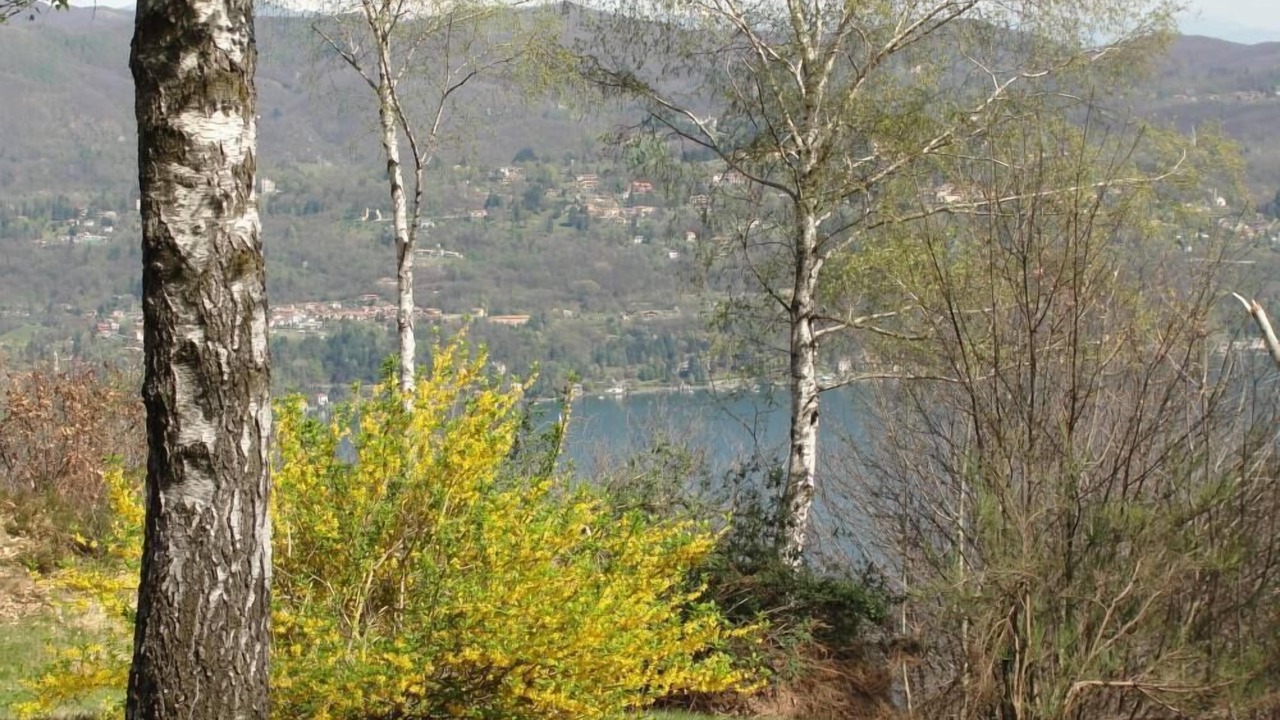 Photo of Outdoor in Boleto