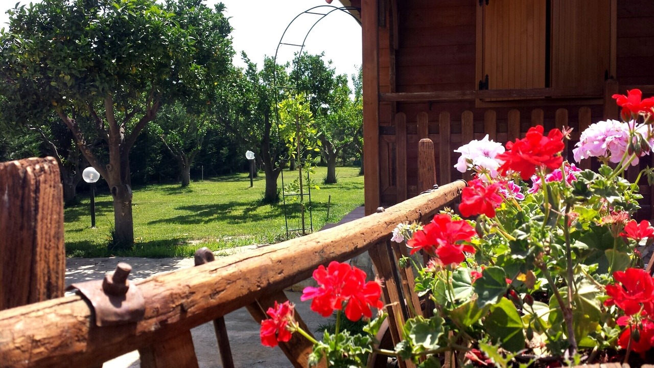 Photo of Outdoor in Crotone