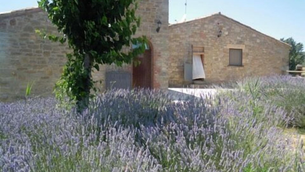 Photo of Outdoor in La Molsosa