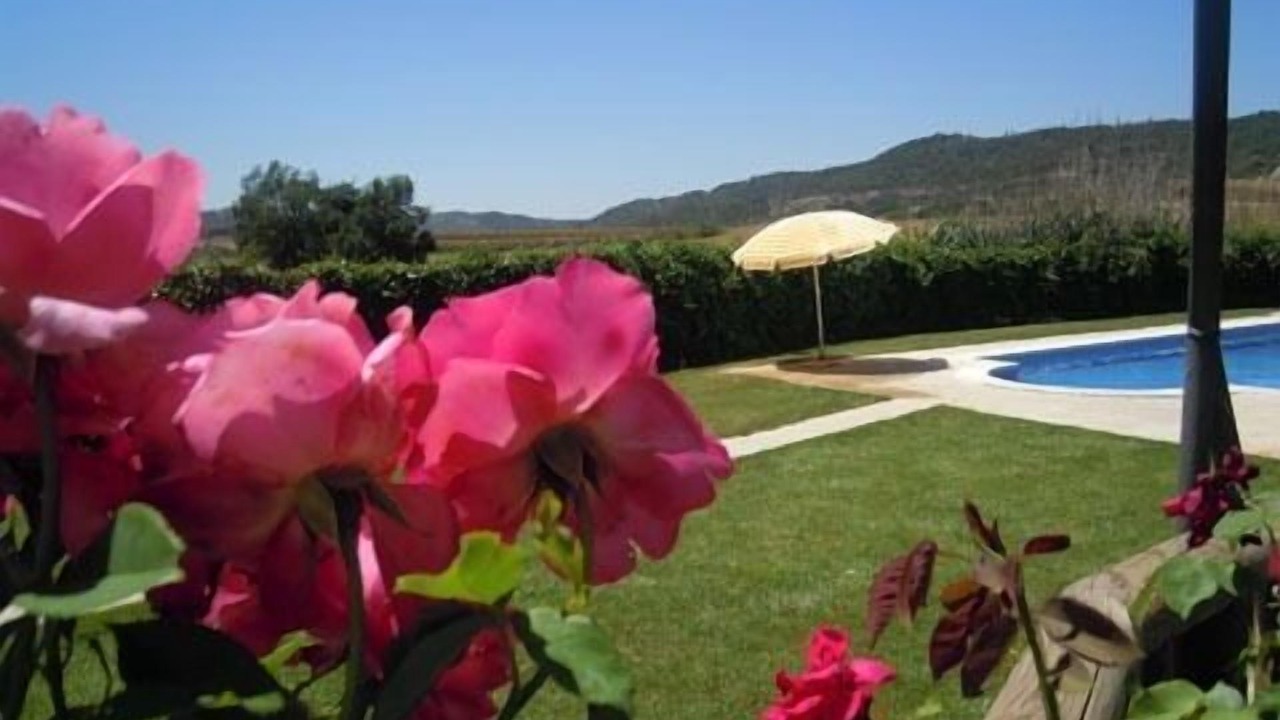 Photo of Outdoor in La Molsosa