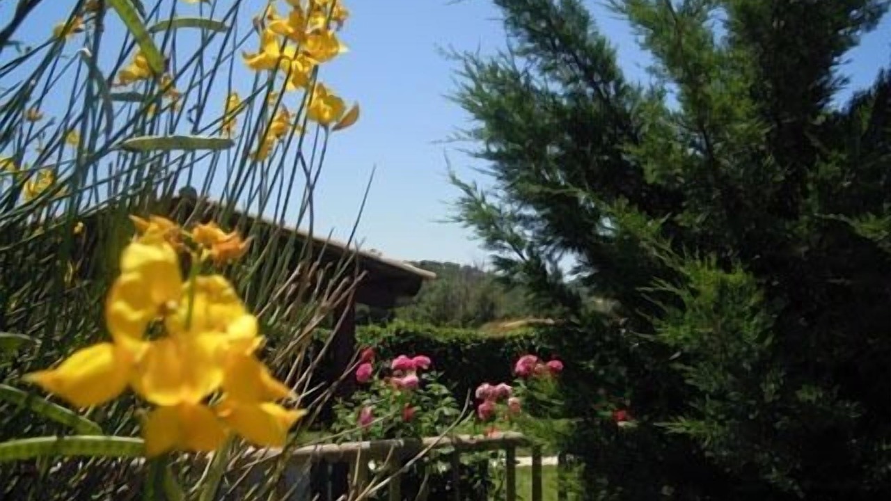 Photo of Outdoor in La Molsosa