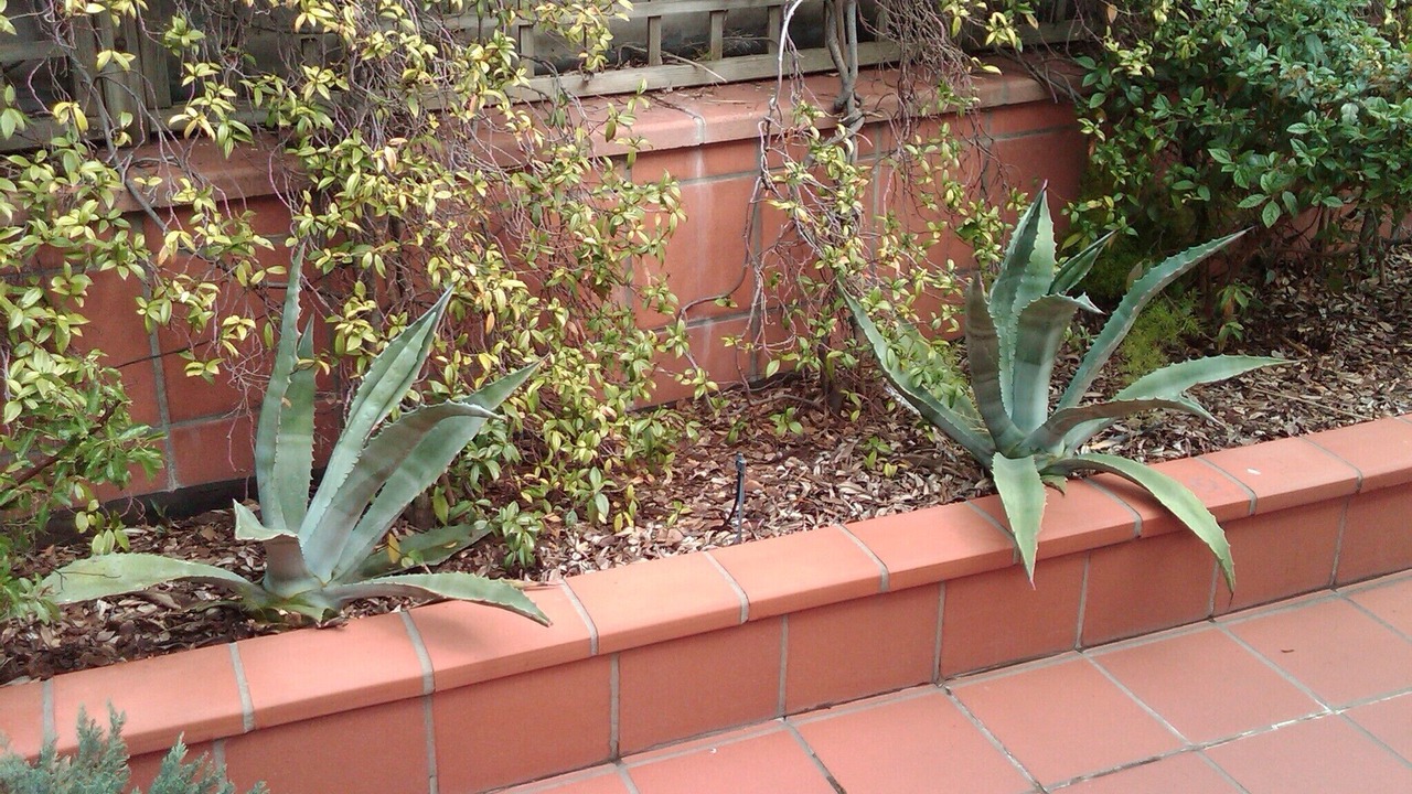 Photo of Outdoor in Ortona