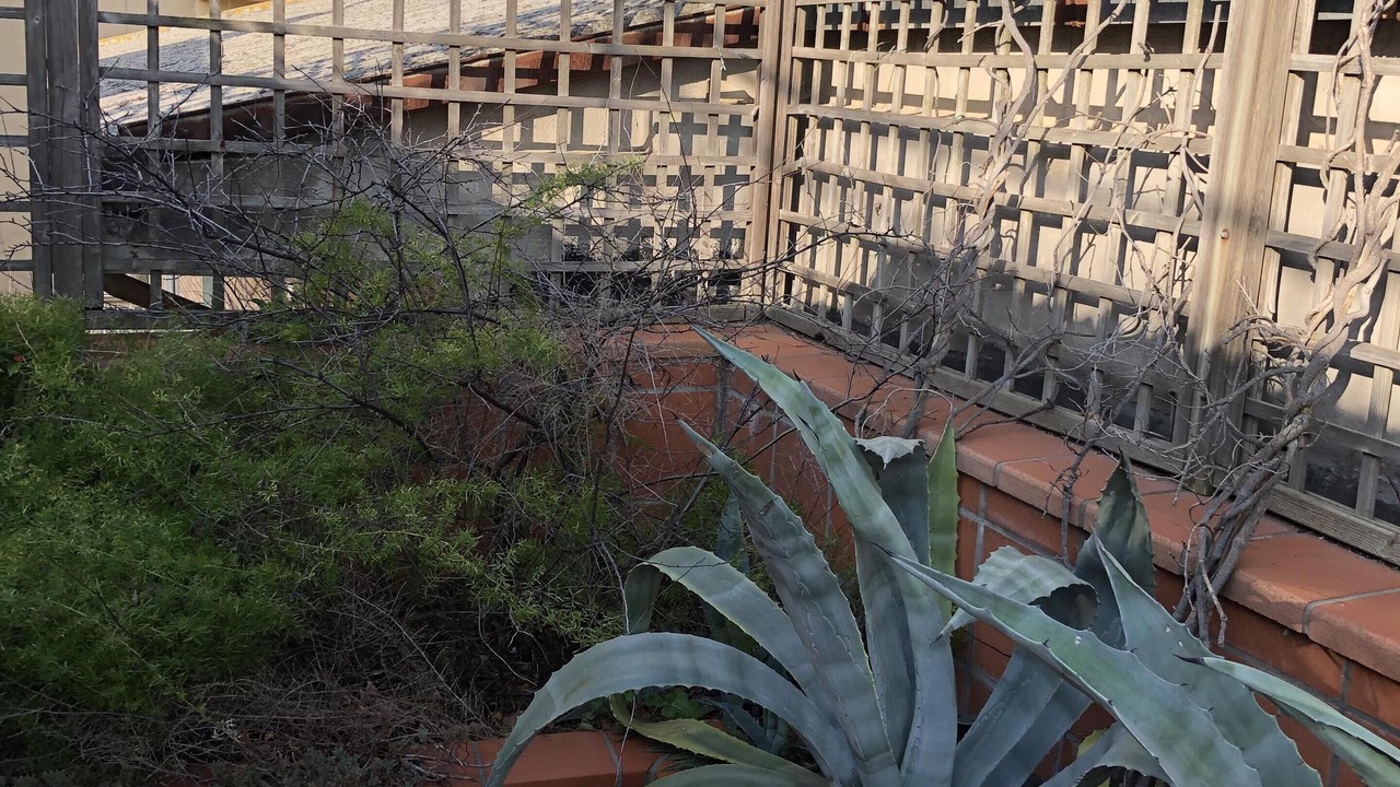 Photo of Outdoor in Ortona
