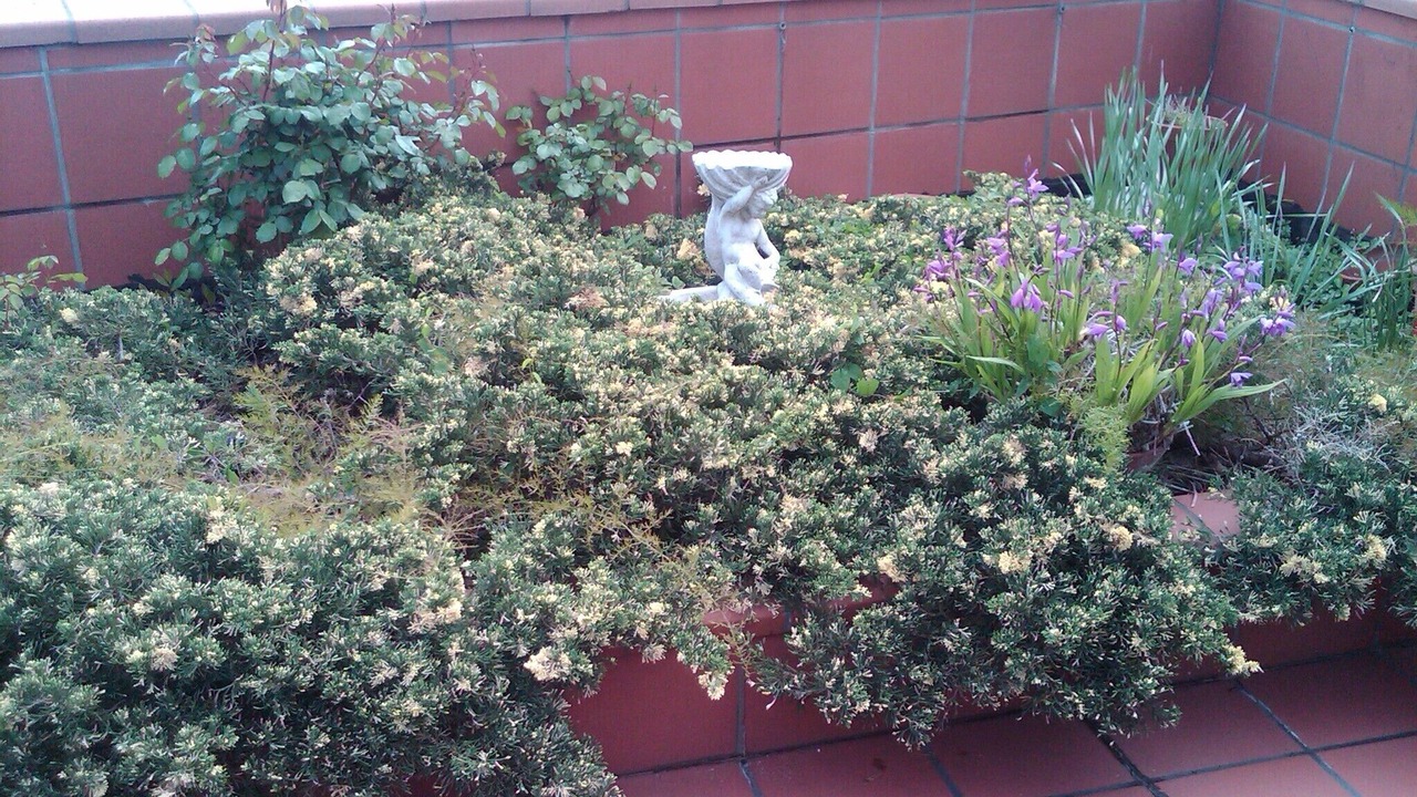 Photo of Outdoor in Ortona