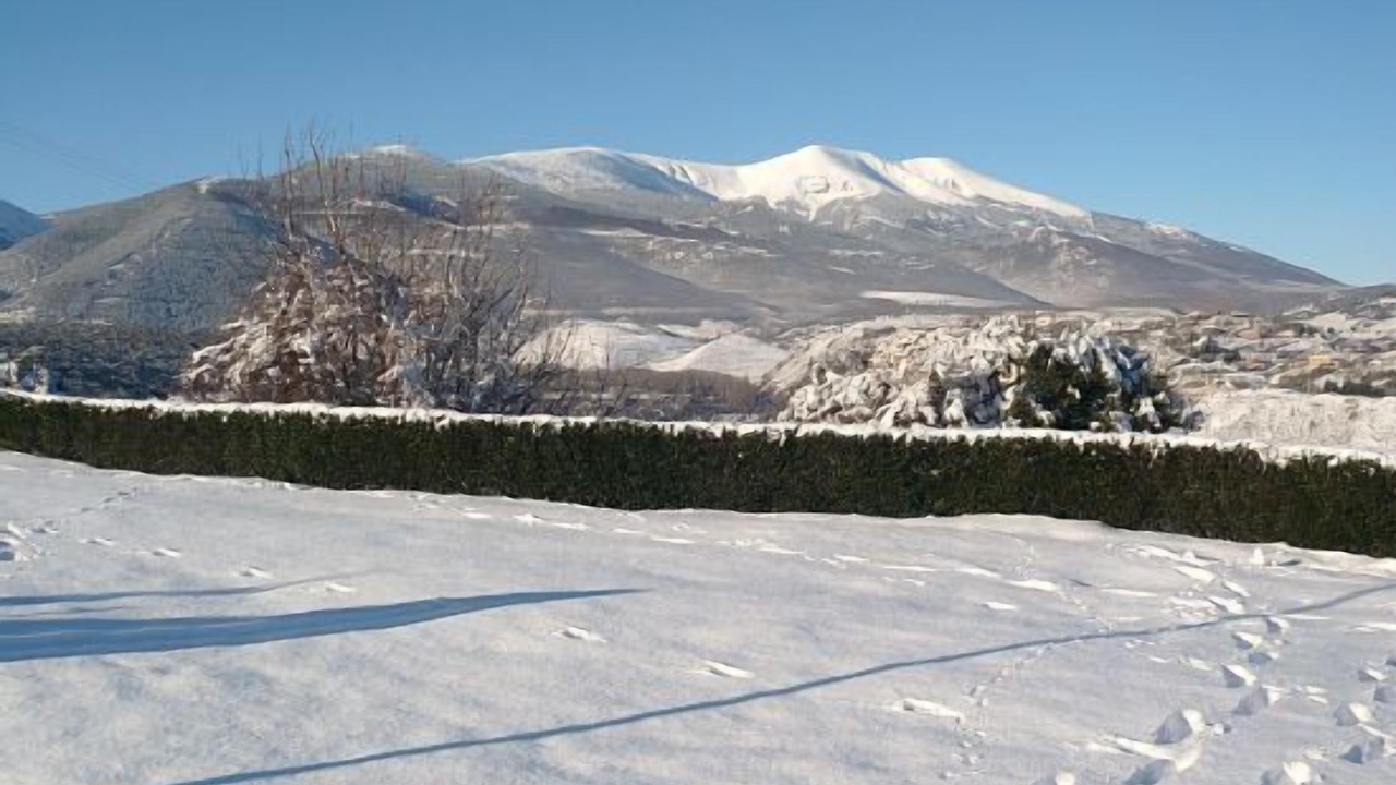 Photo of Others in Anon de Moncayo