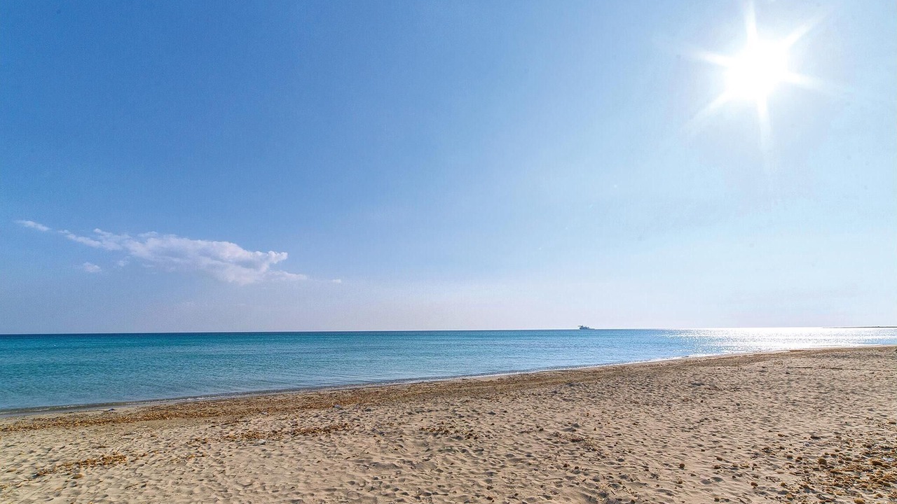 Photo of Others in Viareggio