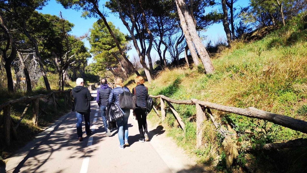 Photo of Outdoor in Pedrinya