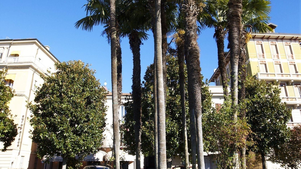 Photo of Outdoor in Verbania