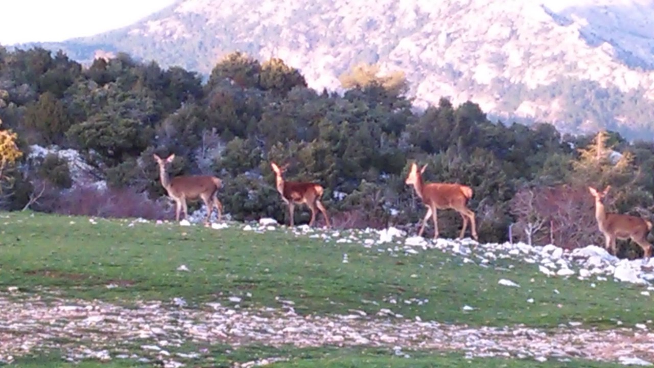 Photo of Outdoor in Villacarrillo