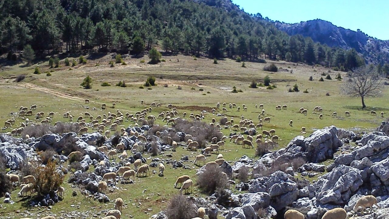 Photo of Outdoor in Villacarrillo