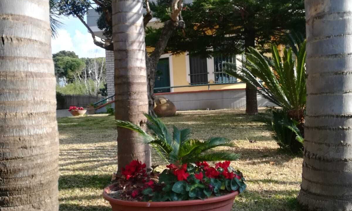 Photo of Outdoor in Laura