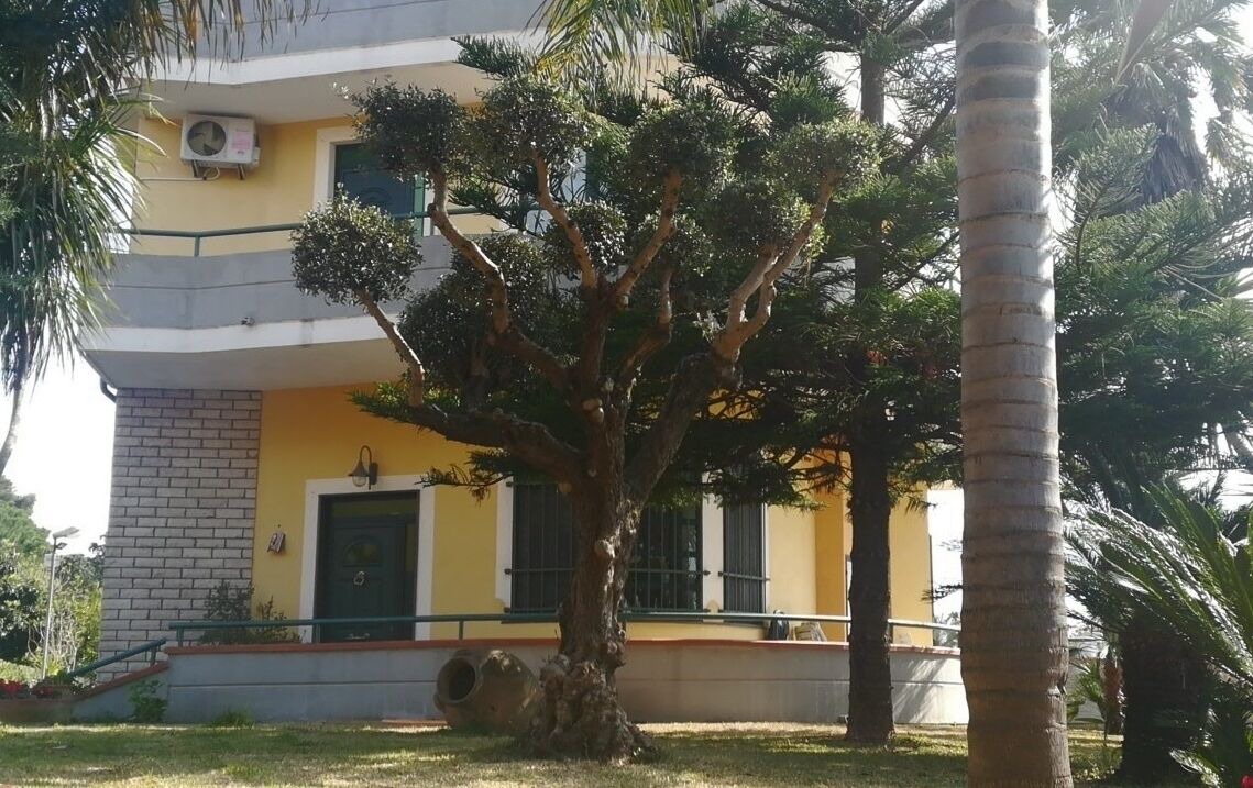 Photo of Outdoor in Laura