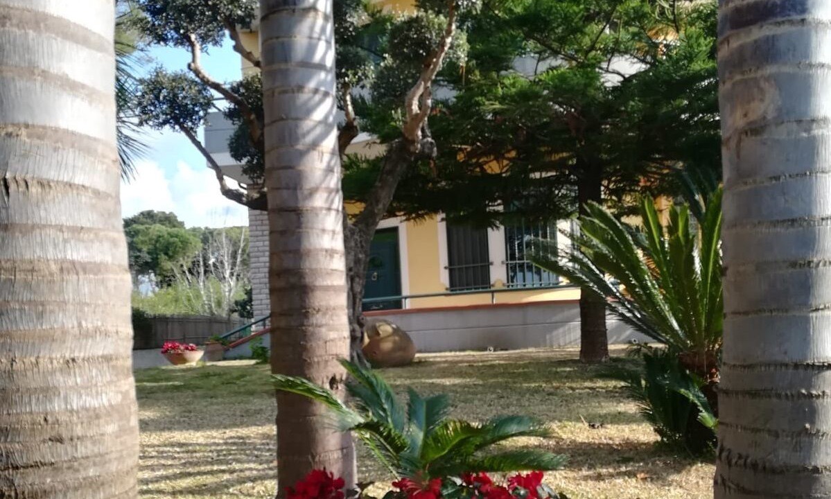 Photo of Outdoor in Laura