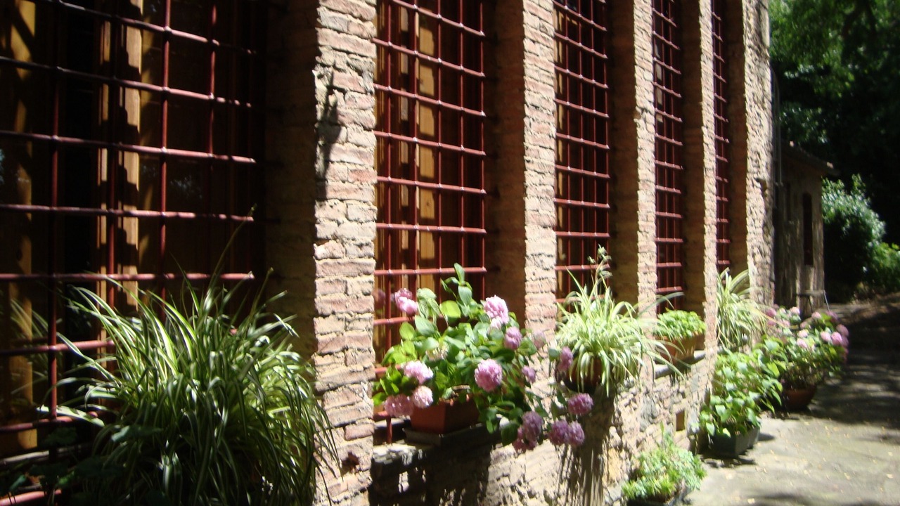 Photo of Outdoor in Fauglia