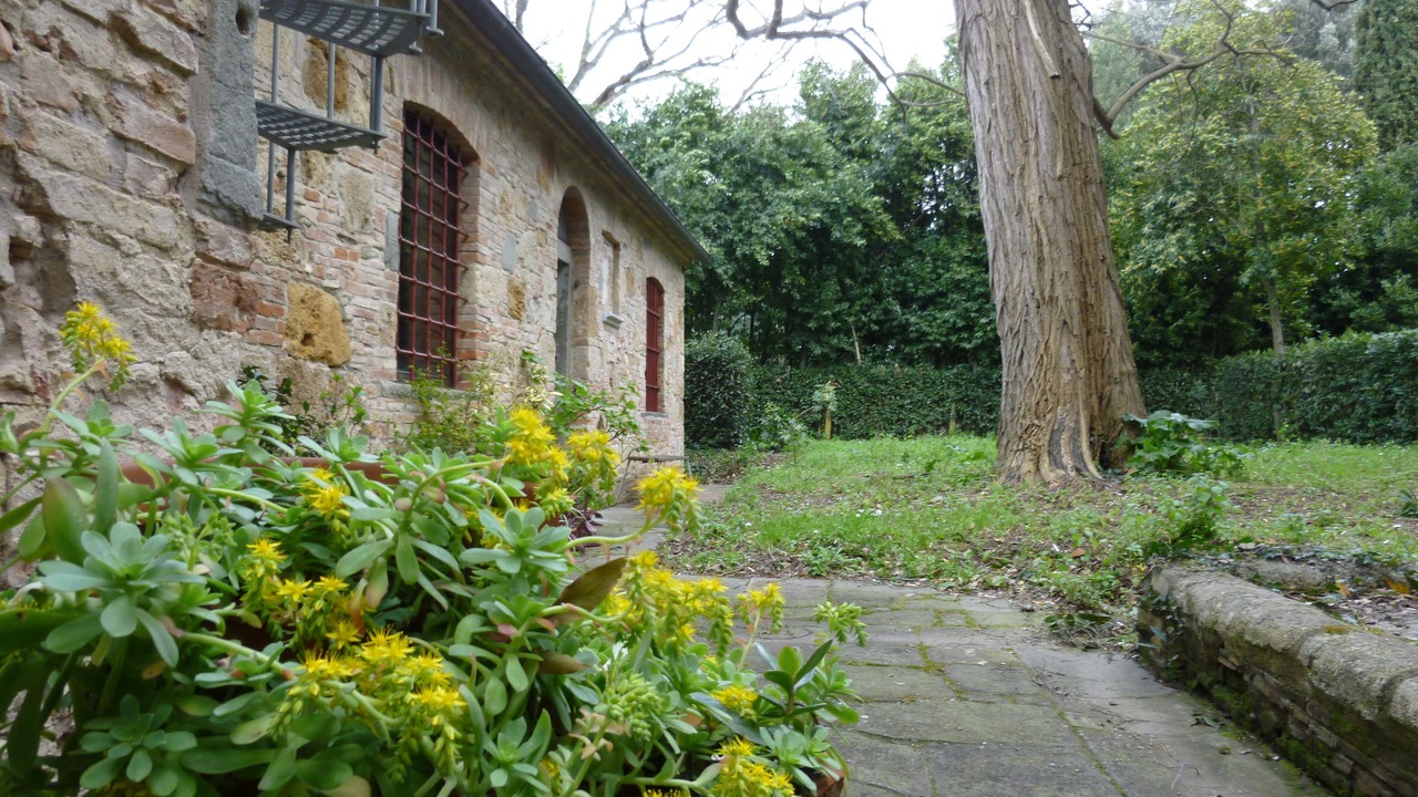 Photo of Outdoor in Fauglia