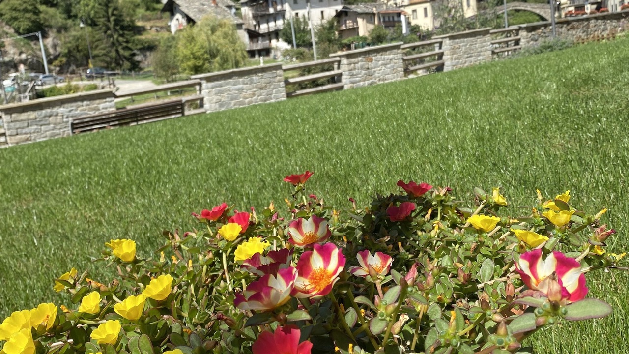 Photo of Outdoor in Fontainemore