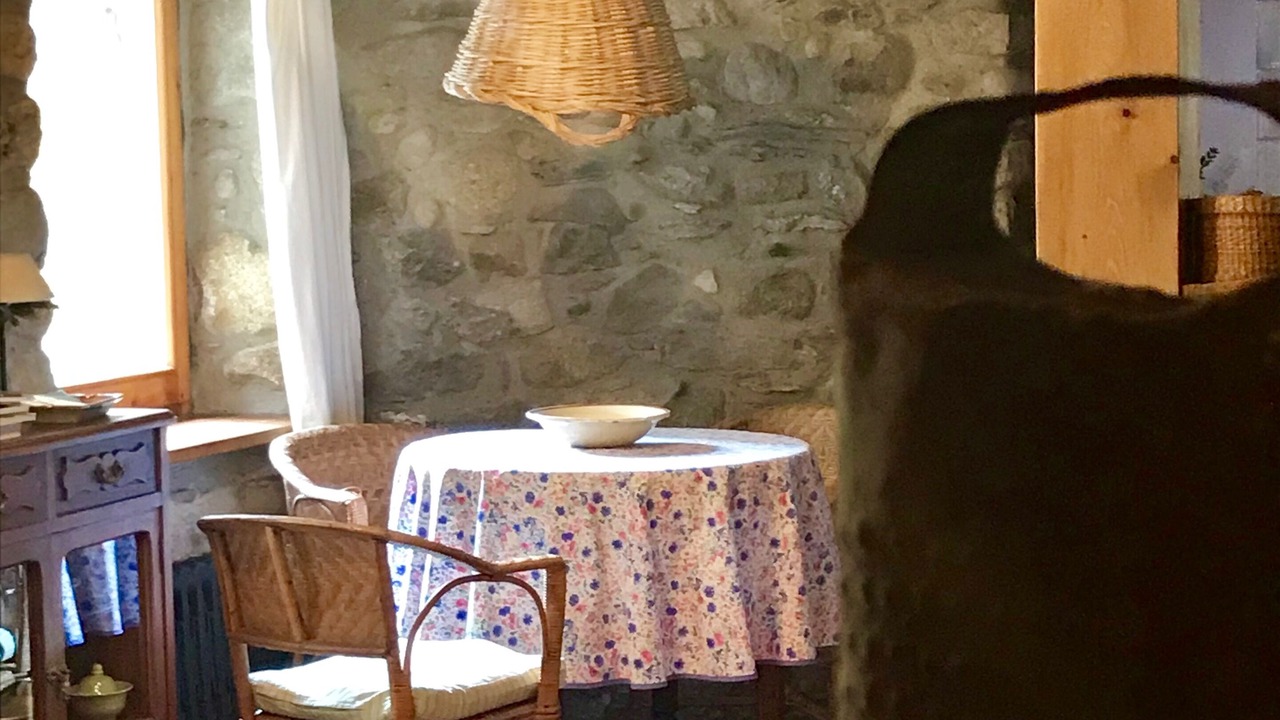 Photo of Others in Benasque