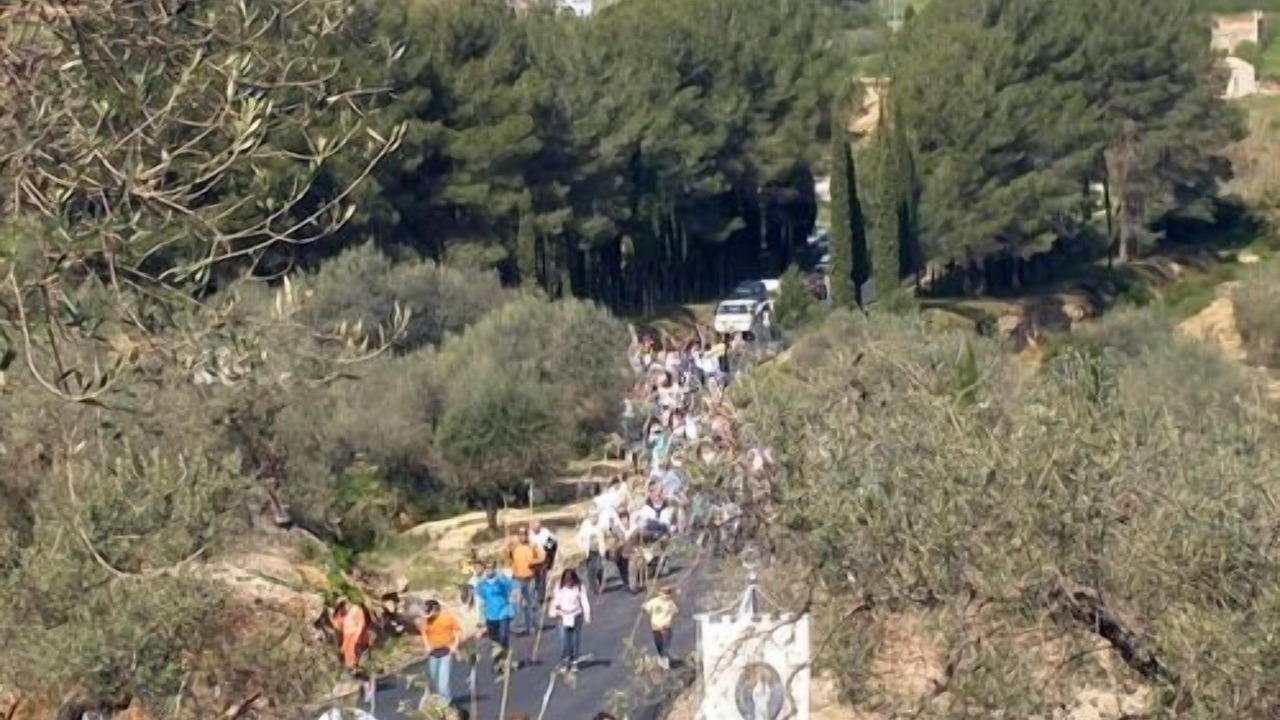 Photo of Outdoor in Sant Mateu