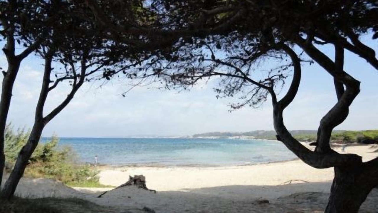 Photo of Others in Rivabella