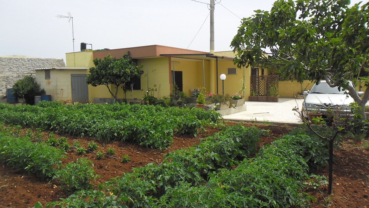 Photo of Outdoor in Corsano
