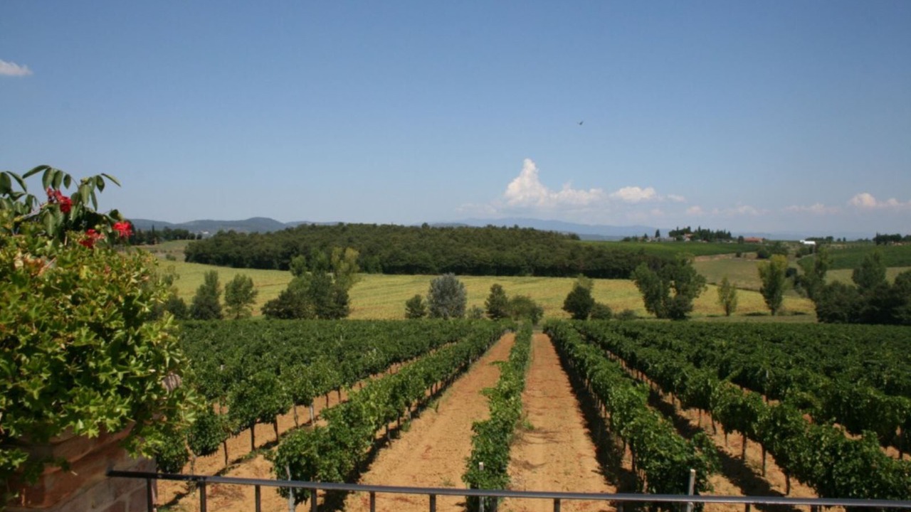 Photo of Outdoor in Marciano della Chiana