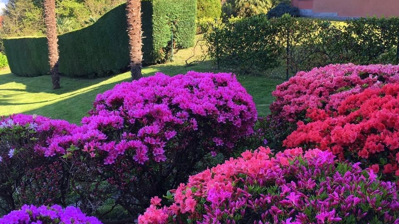 Photo of Outdoor in Carciano