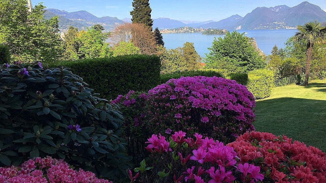 Photo of Outdoor in Carciano