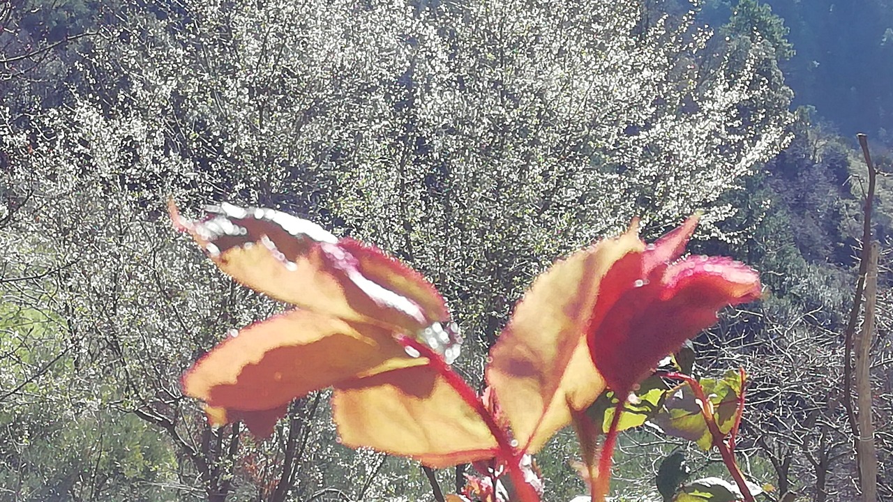 Photo of Outdoor in Velva