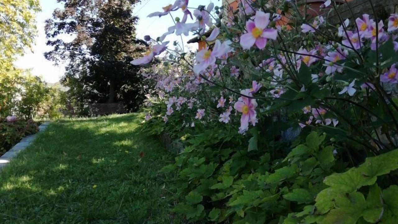Photo of Outdoor in Velva