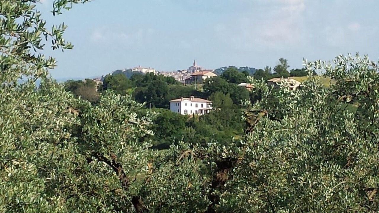 Photo of Outdoor in Todi