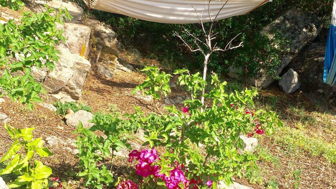 Photo of Outdoor in Luogosanto