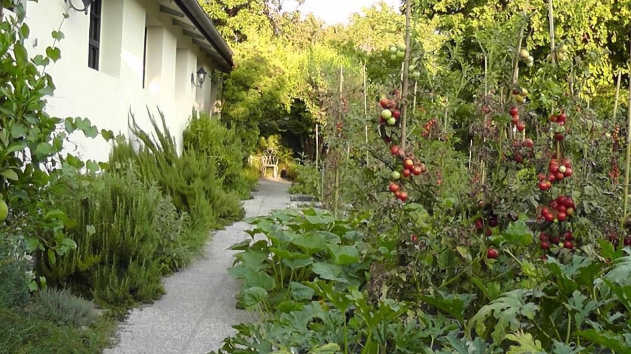 Photo of Outdoor in Trebaseleghe