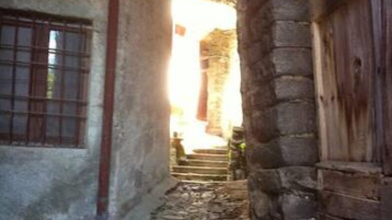 Photo of Outdoor in Pognana Lario