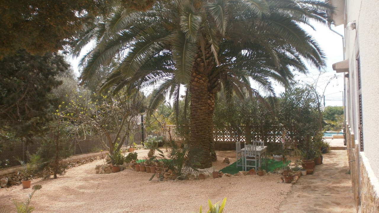 Photo of Outdoor in Manacor
