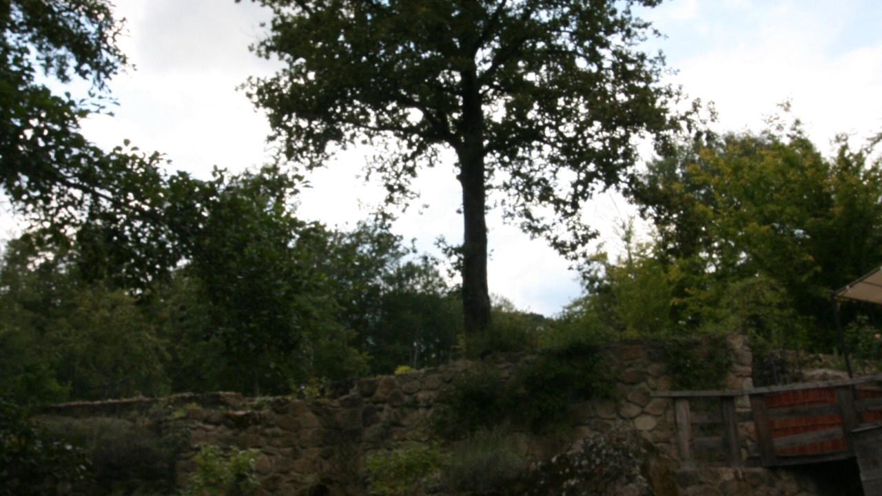 Photo of Outdoor in Torniella