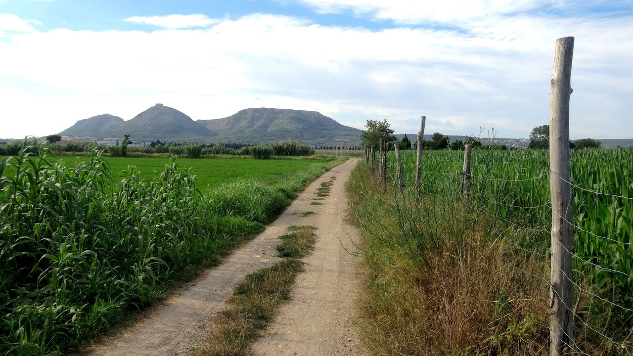 Photo of Outdoor in Pals