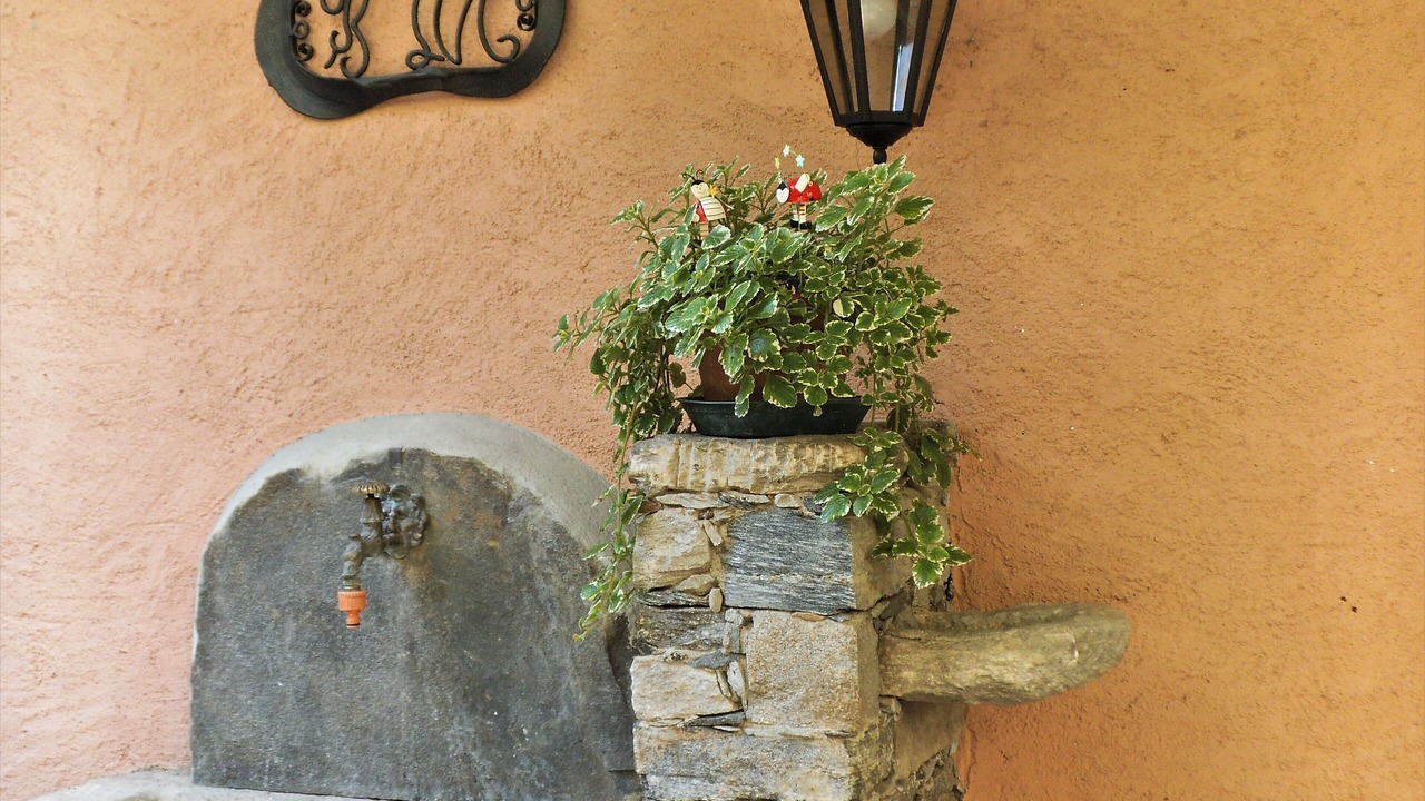 Photo of Outdoor in Cesara