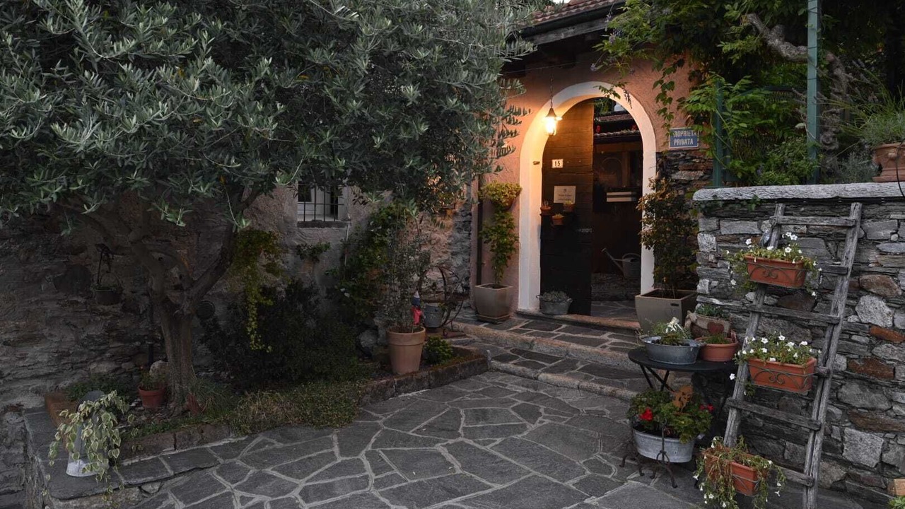Photo of Outdoor in Cesara