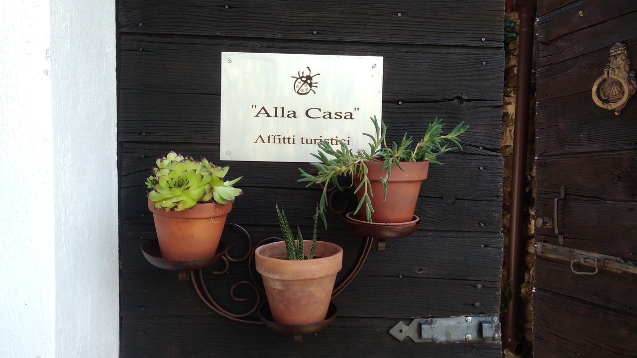 Photo of Outdoor in Cesara